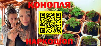 тгк Новозыбков