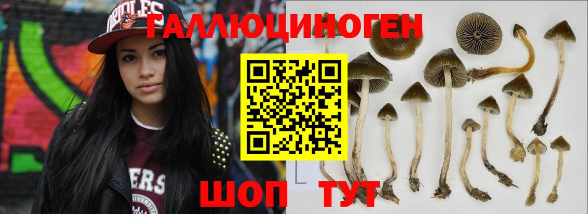 Галлюциногенные грибы мицелий Тобольск